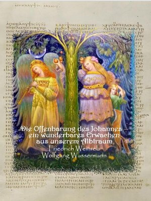 cover image of Die Offenbarung des Johannes--ein wunderbares Erwachen aus unserem Albtraum